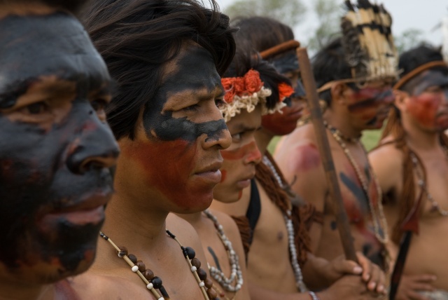 Film Birdwatchers Guarani Film Birdwatchers Guarani